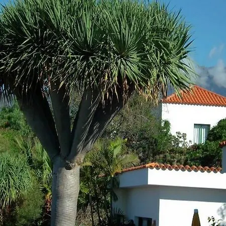 La Plantacion Los Llanos De Aridane